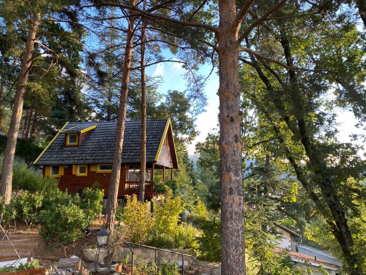 Nima Chalet